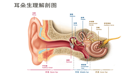 陽康後高發病——分泌性中(zhōng)耳炎