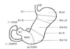 哪些人不能做胃鏡檢查？